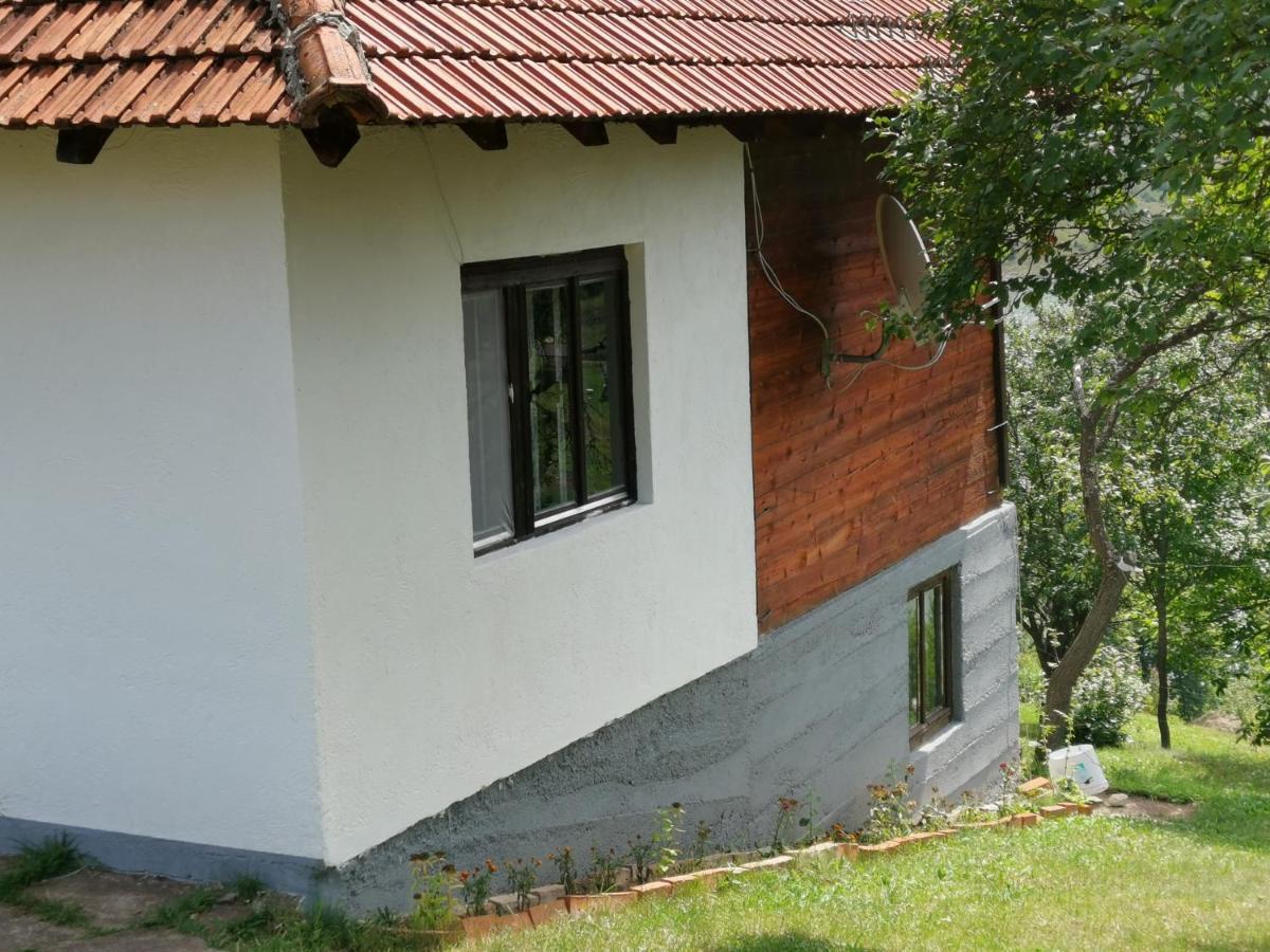 Uvac Griffon Villa Nova Varos Exterior photo